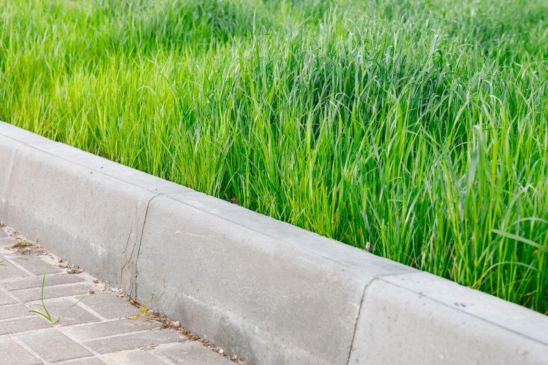Curb Laying