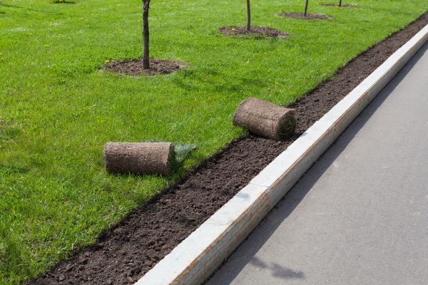 Curb Laying Service